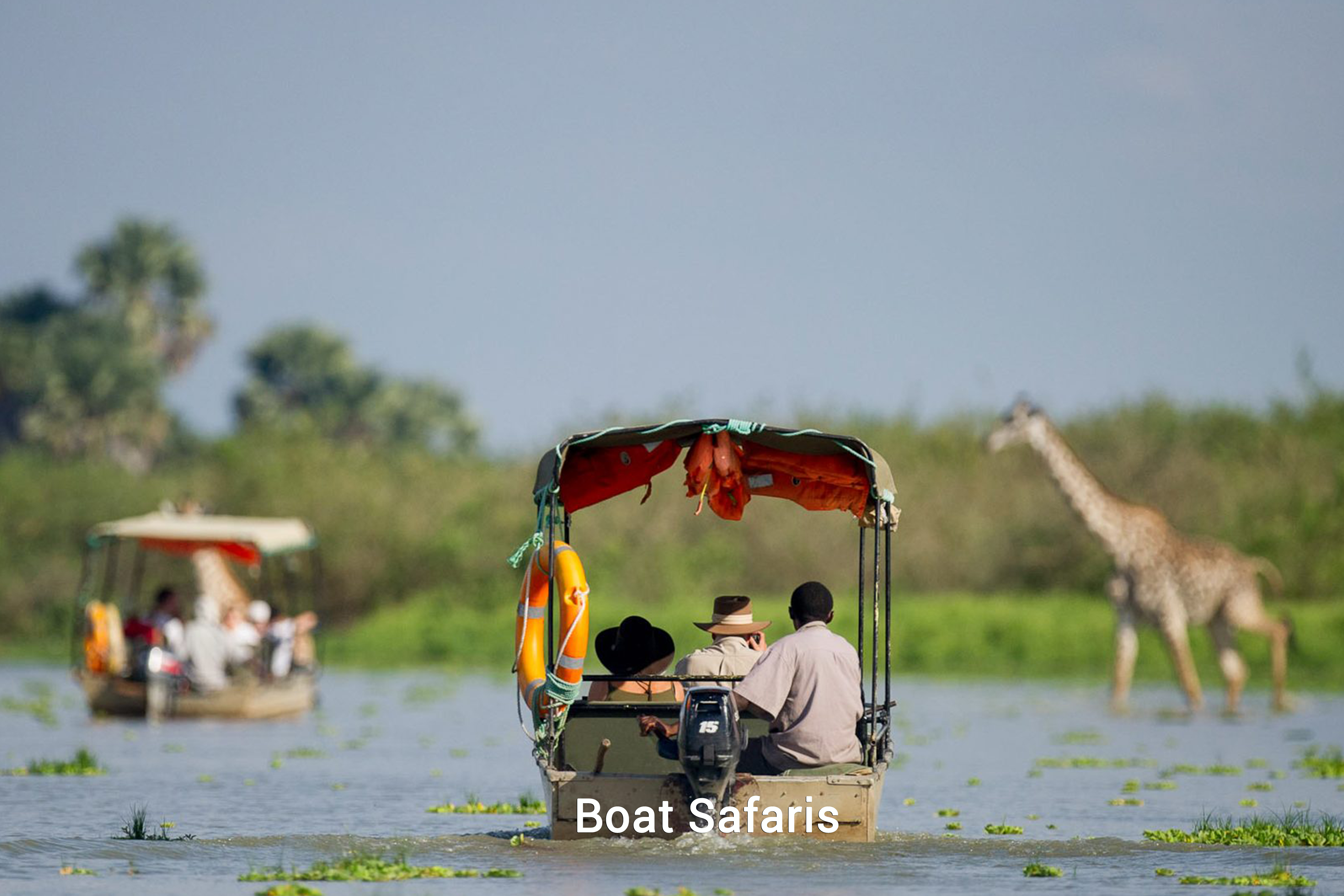 Boat safari experience