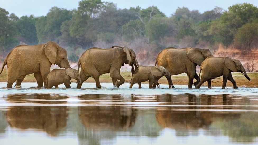 Selous Game Reserve