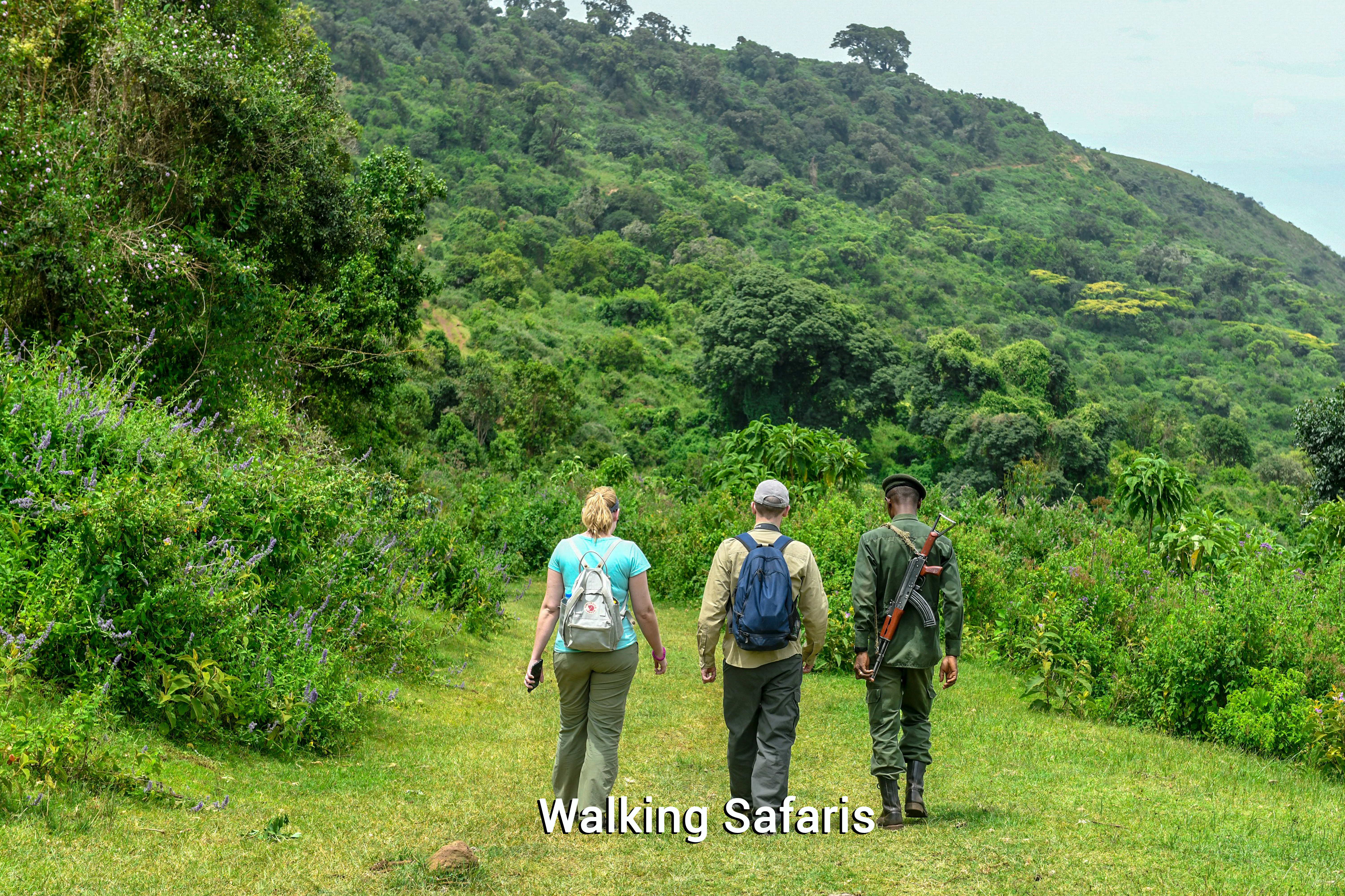 Walking Safaris